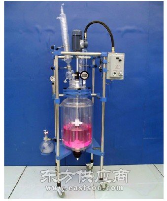 玻璃反應釜類型 玻璃反應釜 南京炳輝儀器儀表公司圖片